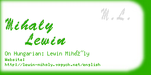 mihaly lewin business card